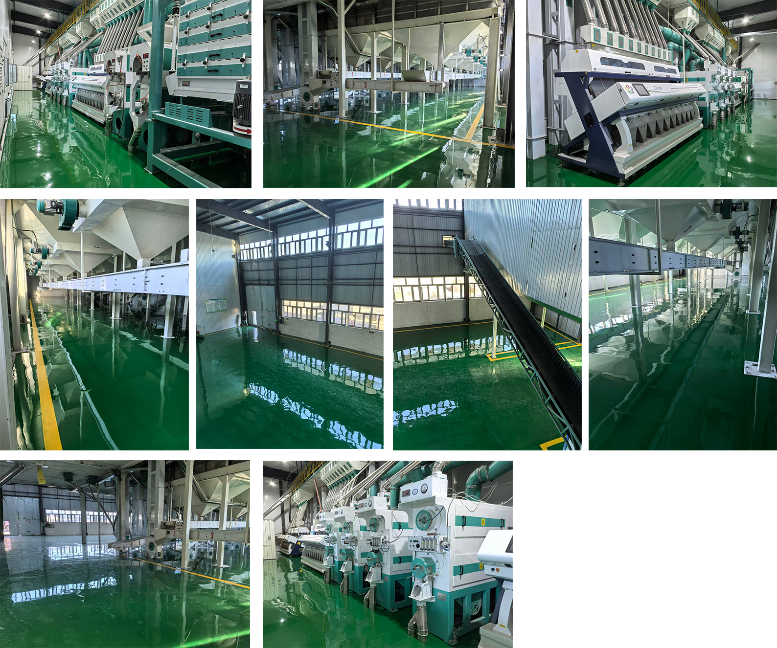 1732513994165164.jpg 1.jpg